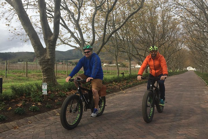 Stellenbosch E-Bike (Half Day) Wine Farm Tour - Photo 1 of 2